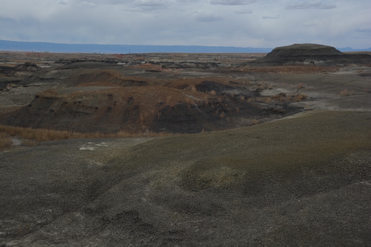 bisti wilderness
